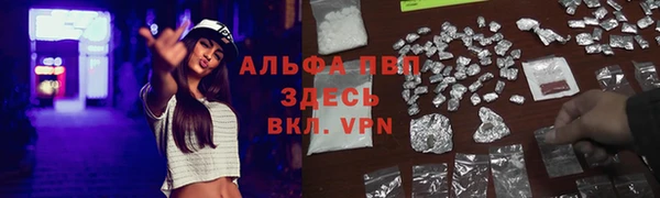 Альфа ПВП Белокуриха