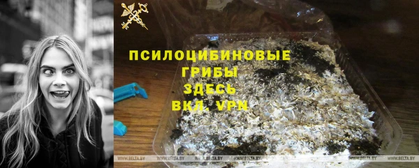 Альфа ПВП Белокуриха