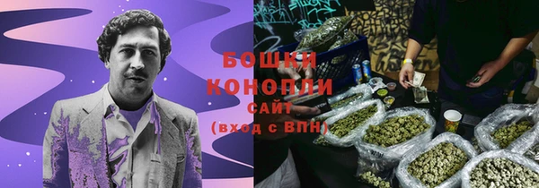 Альфа ПВП Белокуриха
