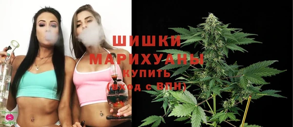 Альфа ПВП Белокуриха